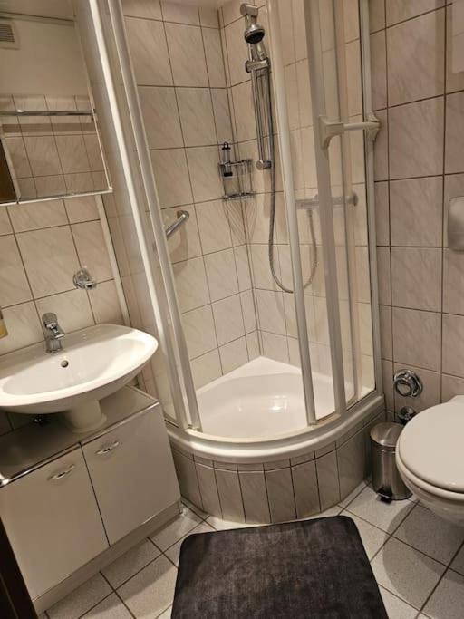 A&E Apartment Am Sorpesee Langscheid  Bagian luar foto