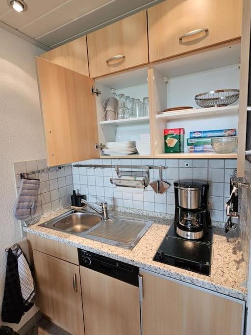 A&E Apartment Am Sorpesee Langscheid  Bagian luar foto